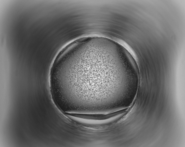 X0000093451388200710261052