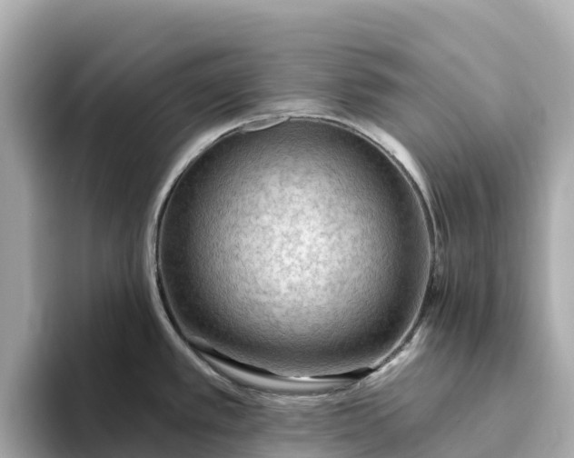 X0000093451389200710261052