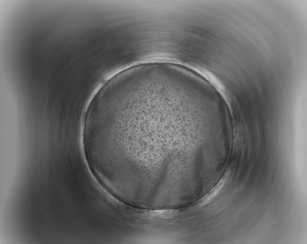 X0000093451390200710261052