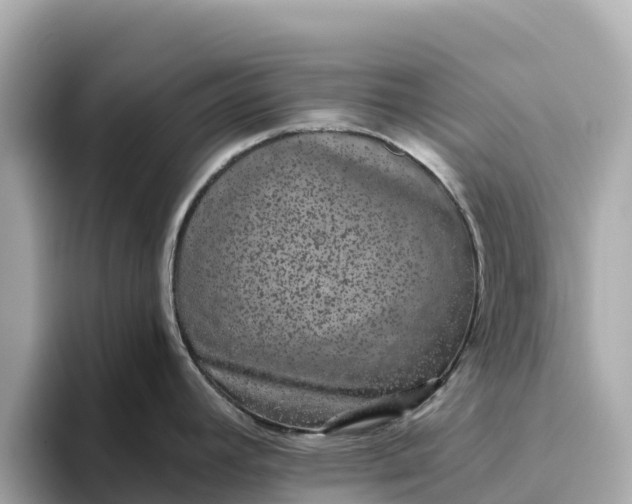 X0000093451392200710261052