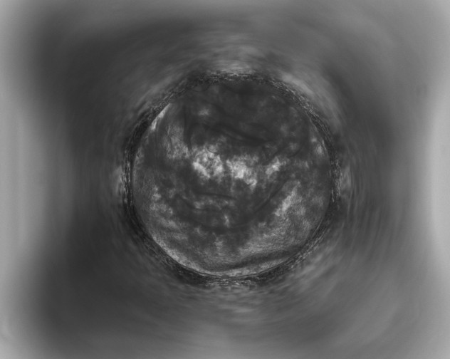 X0000093451397200710261051