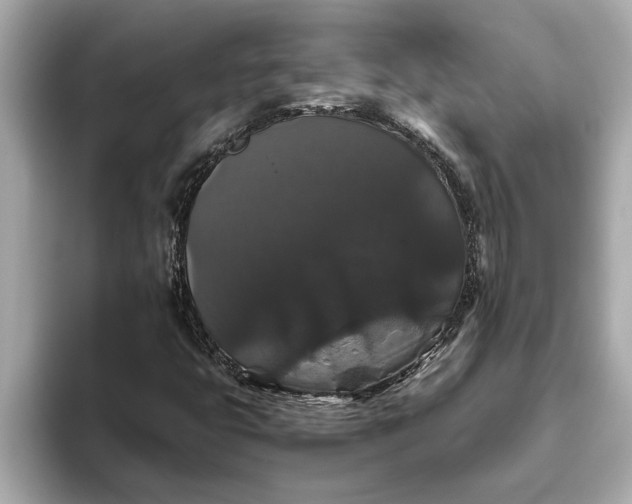 X0000093451399200710261051