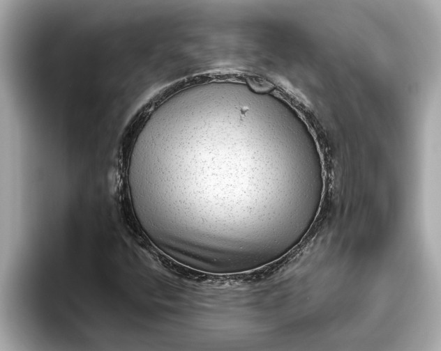 X0000093451400200710261051