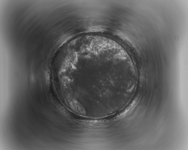 X0000093451401200710261051