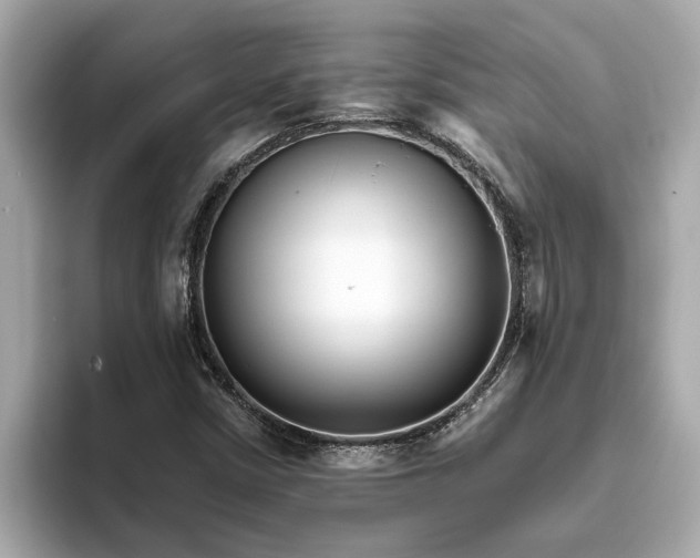 X0000093451402200710261051