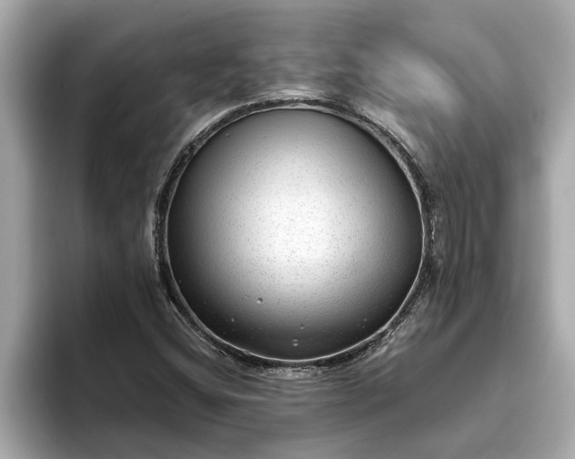 X0000093451404200710261051