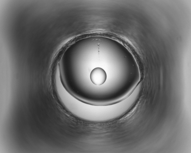 X0000093451406200710261051