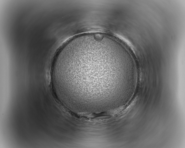 X0000093451407200710261051