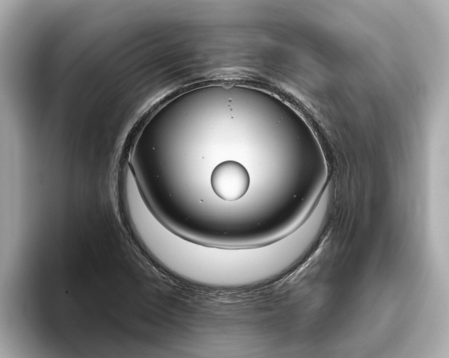 X0000093451410200710261052