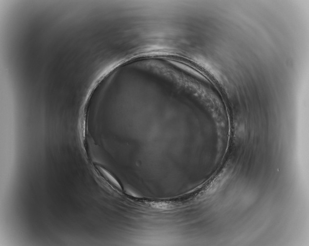 X0000093451413200710261052