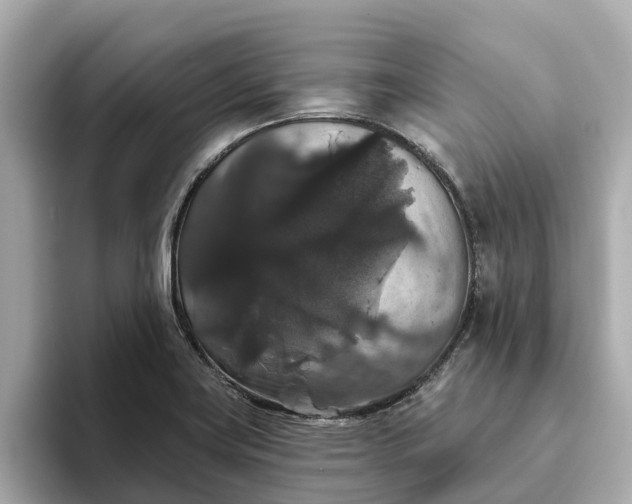 X0000093451419200710261052