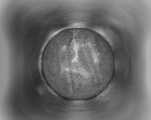 X0000093451421200710261052