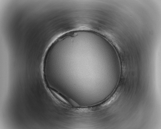 X0000093451422200710261052