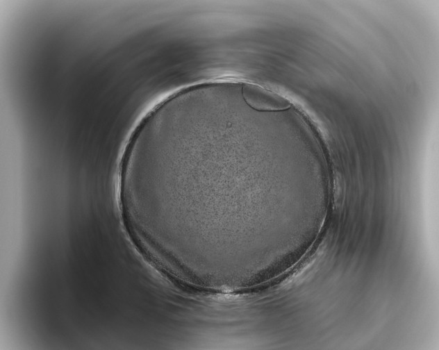 X0000093451424200710261052