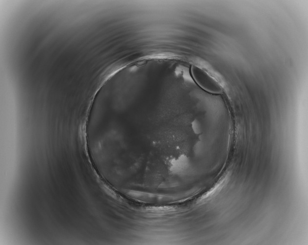 X0000093451425200710261052