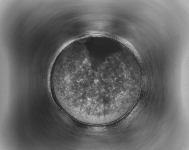 X0000093451427200710261052