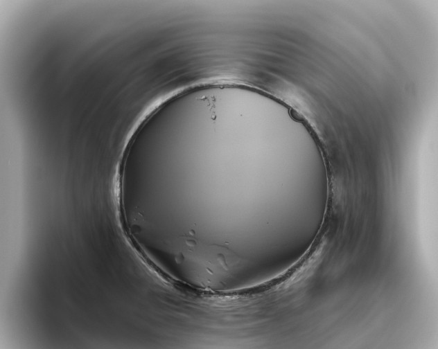 X0000093451428200710261052