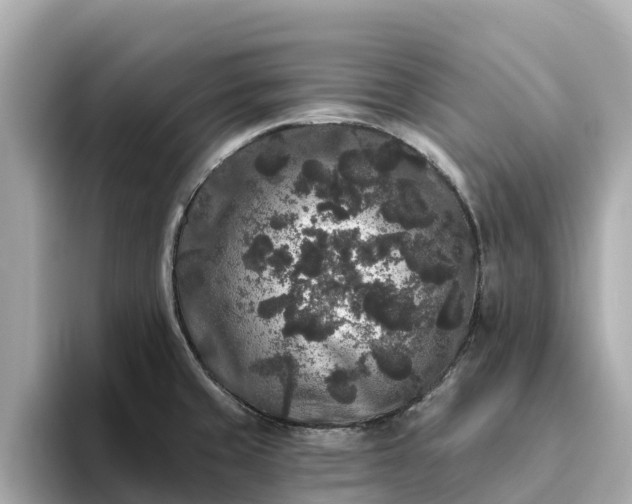 X0000093451429200710261052