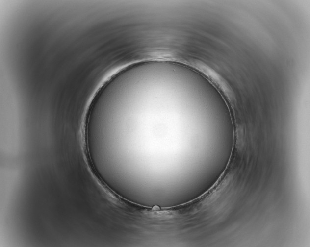 X0000093451432200710261052