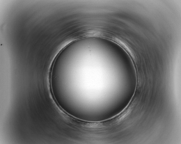 X0000093451434200710261052