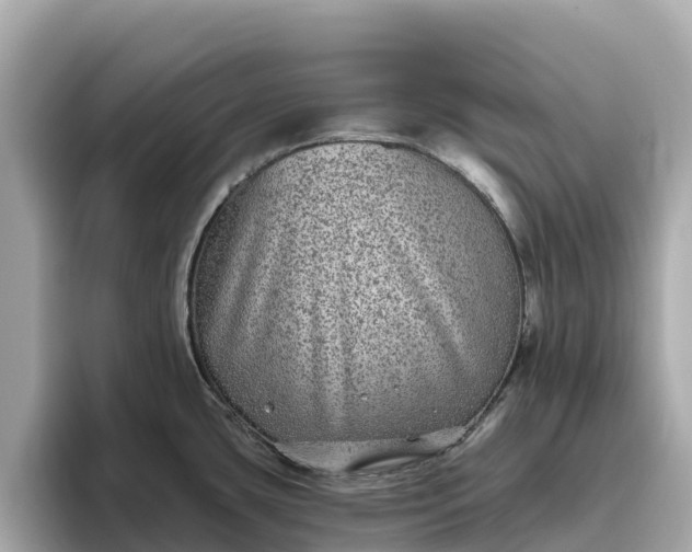 X0000093451435200710261052