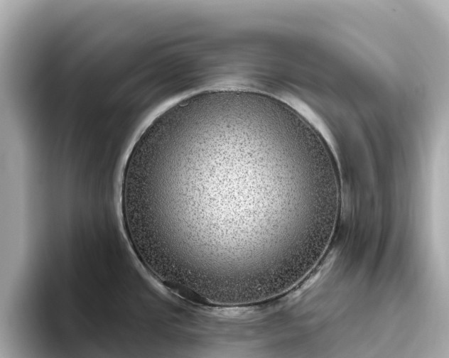 X0000093451437200710261052