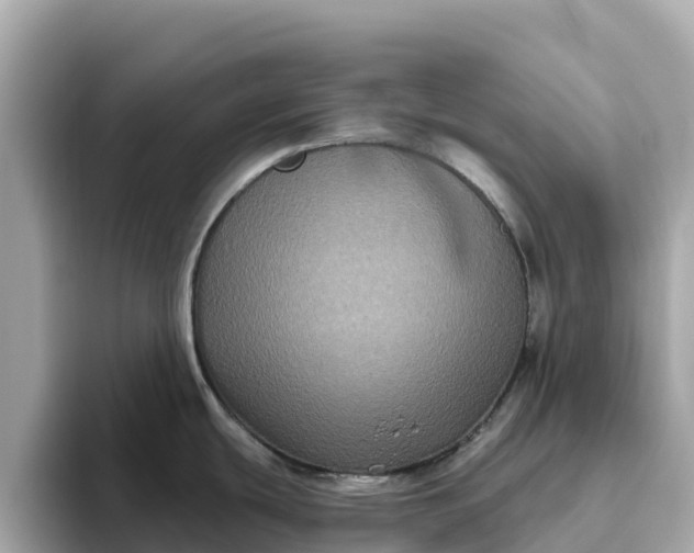 X0000093451439200710261052