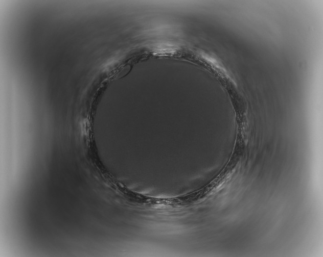 X0000093451445200710261051