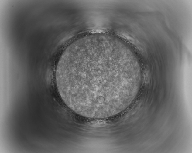 X0000093451446200710261051