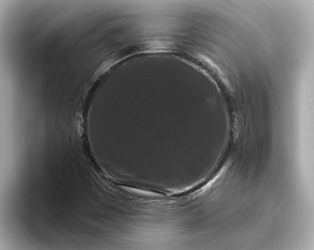 X0000093451449200710261051