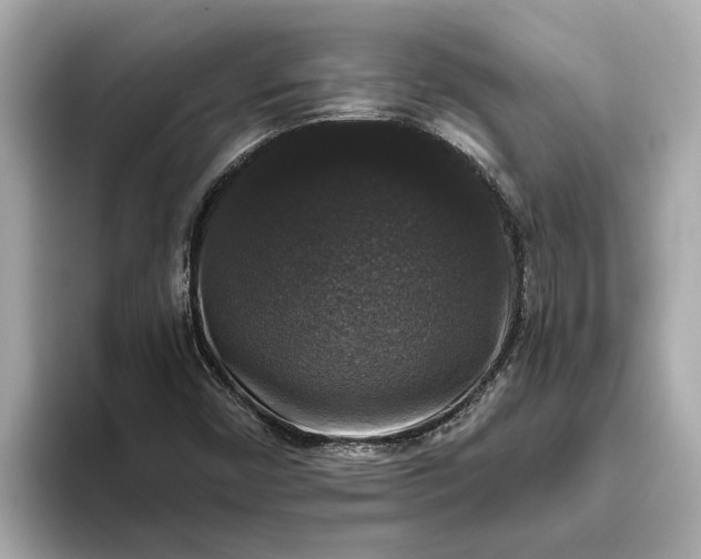 X0000093451450200710261051