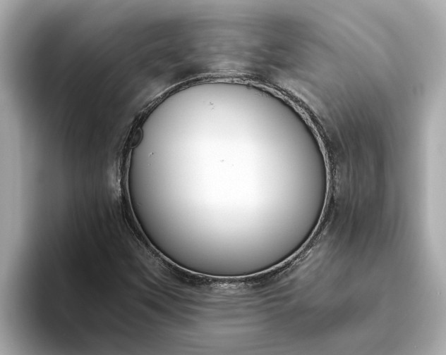 X0000093451451200710261051