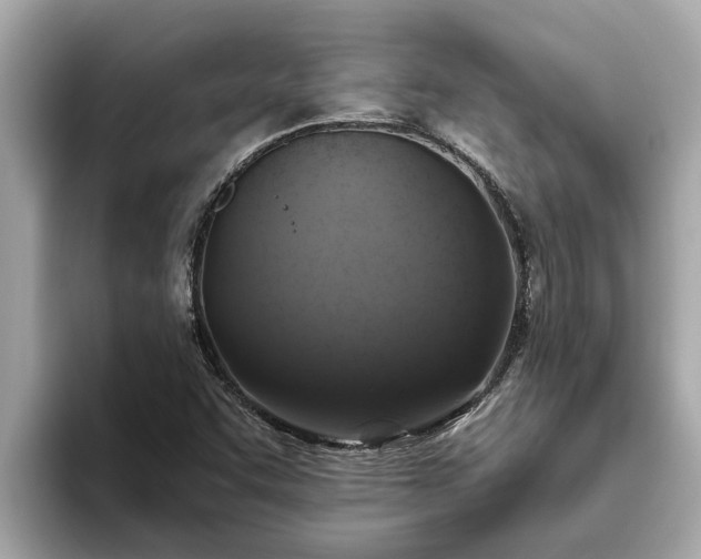 X0000093451455200710261051