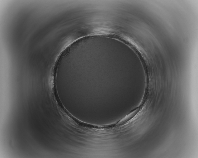 X0000093451459200710261051