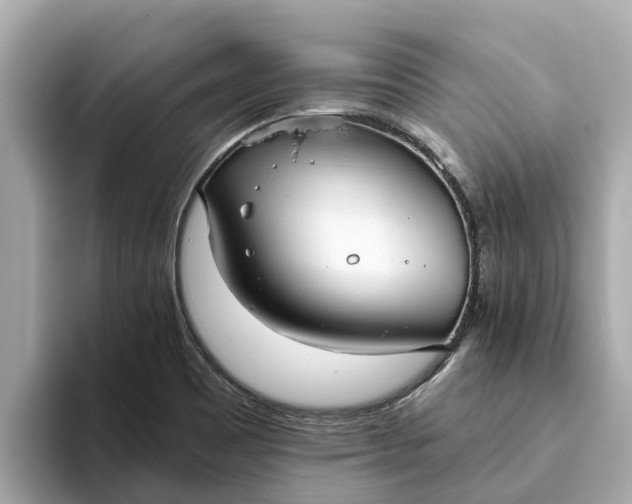 X0000093451465200710261051