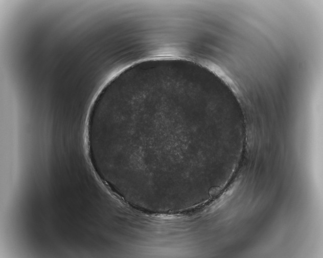 X0000093451469200710261051