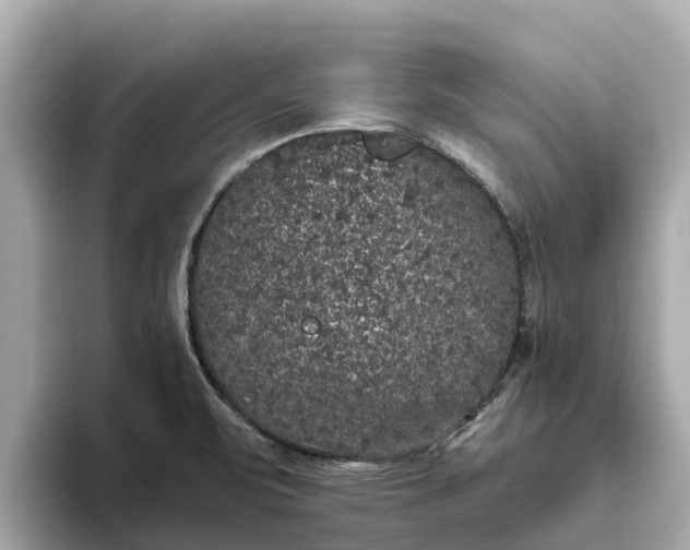 X0000093451471200710261051