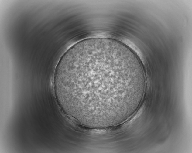 X0000093451481200710261051