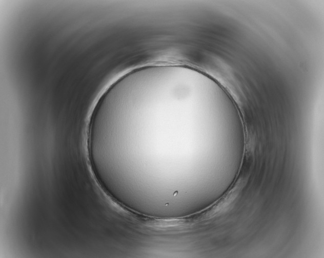 X0000093451486200710261051