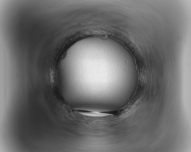 X0000093451490200710261050