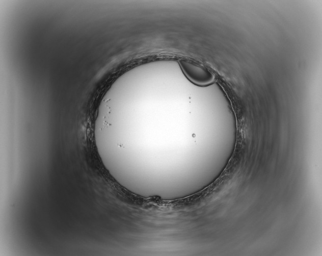 X0000093451495200710261050