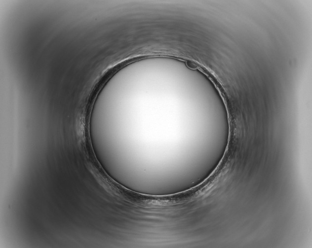 X0000093451499200710261050