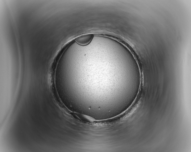 X0000093451501200710261050