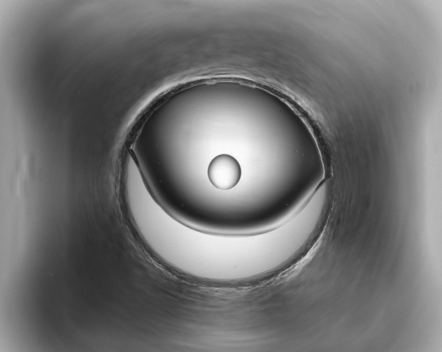 X0000093451502200710261050