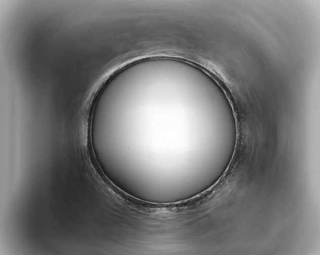 X0000093451504200710261050