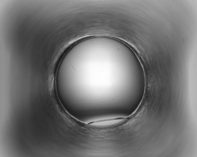 X0000093451507200710261050