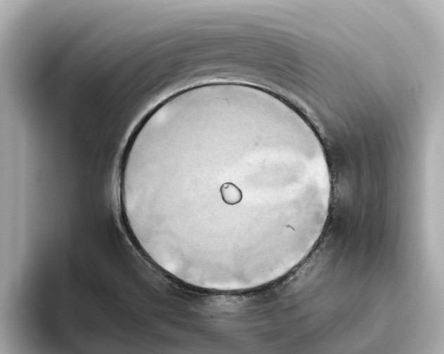 X0000093451514200710261050