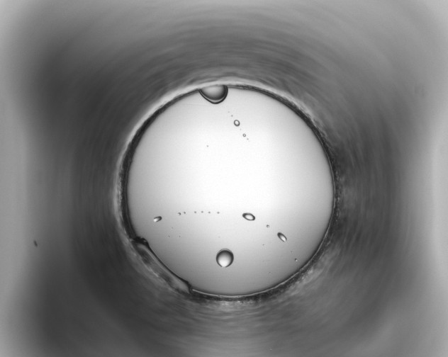 X0000093451518200710261050