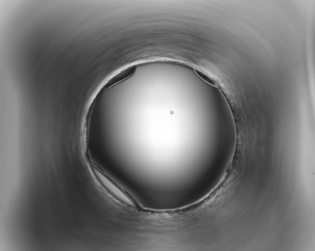 X0000093451524200710261050