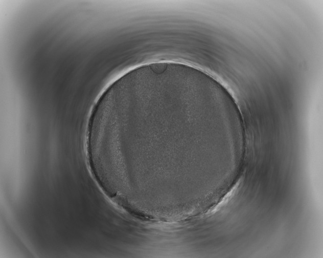 X0000093451525200710261050